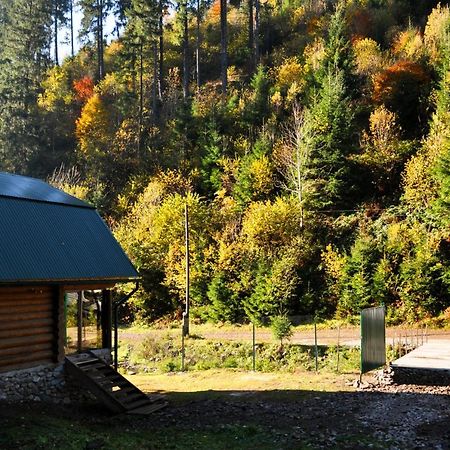 Гостьовий Дім Секвойя Verkhnyaya Bystra Esterno foto