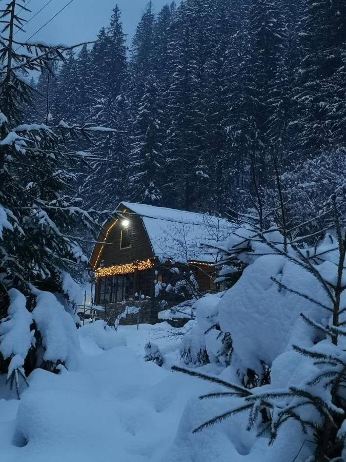 Гостьовий Дім Секвойя Verkhnyaya Bystra Esterno foto