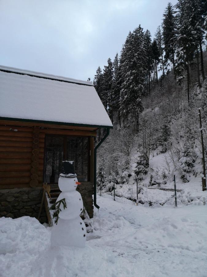 Гостьовий Дім Секвойя Verkhnyaya Bystra Esterno foto