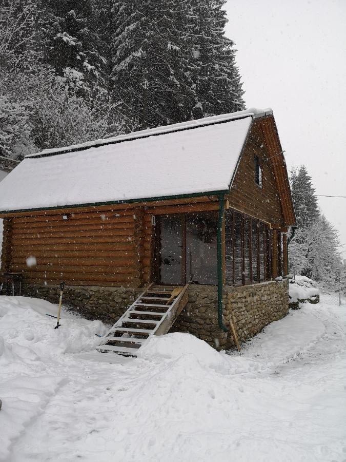 Гостьовий Дім Секвойя Verkhnyaya Bystra Esterno foto