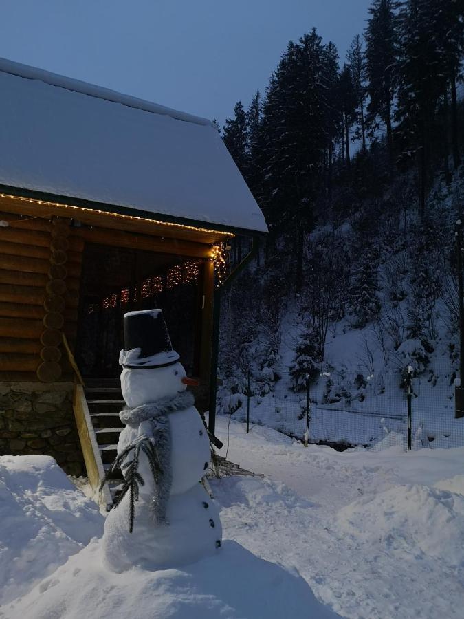 Гостьовий Дім Секвойя Verkhnyaya Bystra Esterno foto
